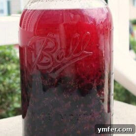 Homemade Cassis in a bottle with fresh blackcurrants, a finished product.