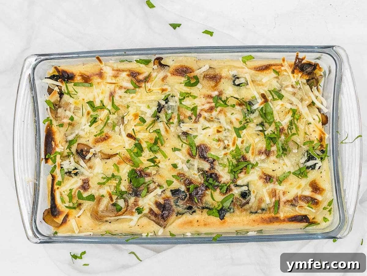 Savory Crepe Delights 17 Baked savory crepes casserole, golden and bubbly from the oven