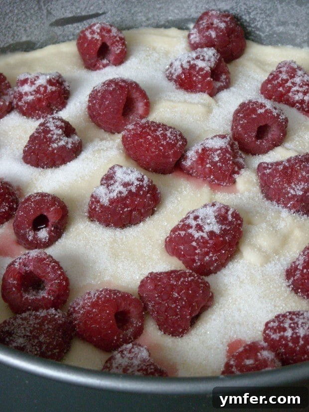 Delicious Raspberry Buttermilk Cake Moist Raspberry Buttermilk Cake with Fresh Raspberries