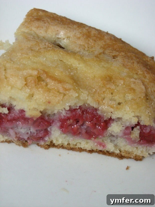 Buttermilk Cake with Raspberries Slice of Raspberry Buttermilk Cake