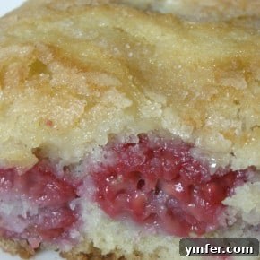 Tender Raspberry Buttermilk Delight 2 Mini Raspberry Buttermilk Cake Thumbnail