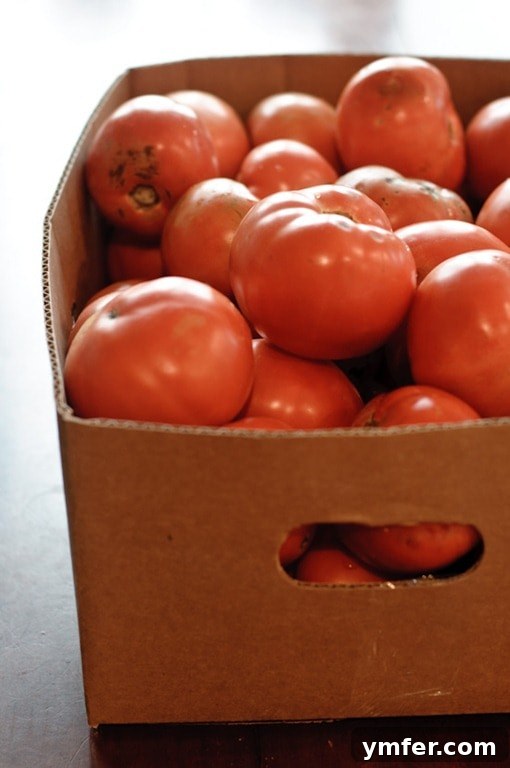 Slow Cooker Homemade Ketchup via Nutmeg Nanny A box full of tomatoes.