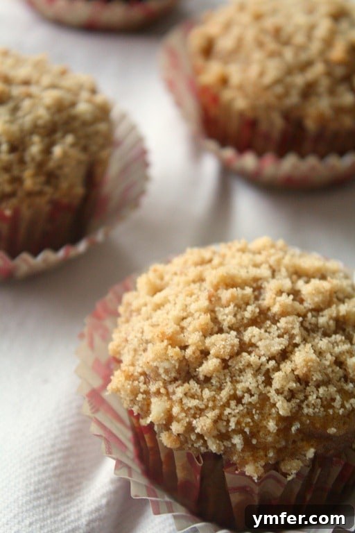 Rustic Sweet Potato & Fig Muffins 2 Delicious and easy sweet potato and fig muffins with a crumb topping, perfect for breakfast or a snack.