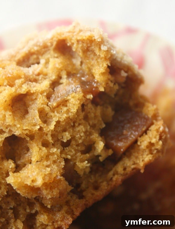 Rustic Sweet Potato & Fig Muffins 3 Close-up of a sweet potato and fig muffin, showcasing its moist interior and crumbly top, ready to be enjoyed.