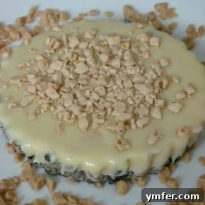 Espresso Caramel Swirl Ice Cream Tart 2 Coffee Toffee Ice Cream Tart