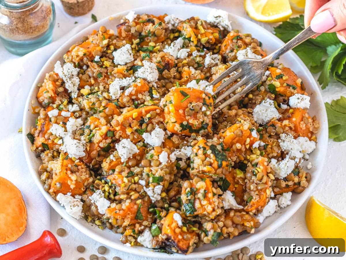 35 Stress-Free Dinner Recipes 15 Lentil quinoa salad with feta and a hand holding a fork, showcasing its fresh ingredients