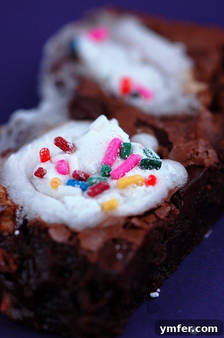 Ultimate Funfetti Rocky Road Bars 4 Several decadent Funfetti Rocky Road Brownies artfully arranged on a charming purple plate.