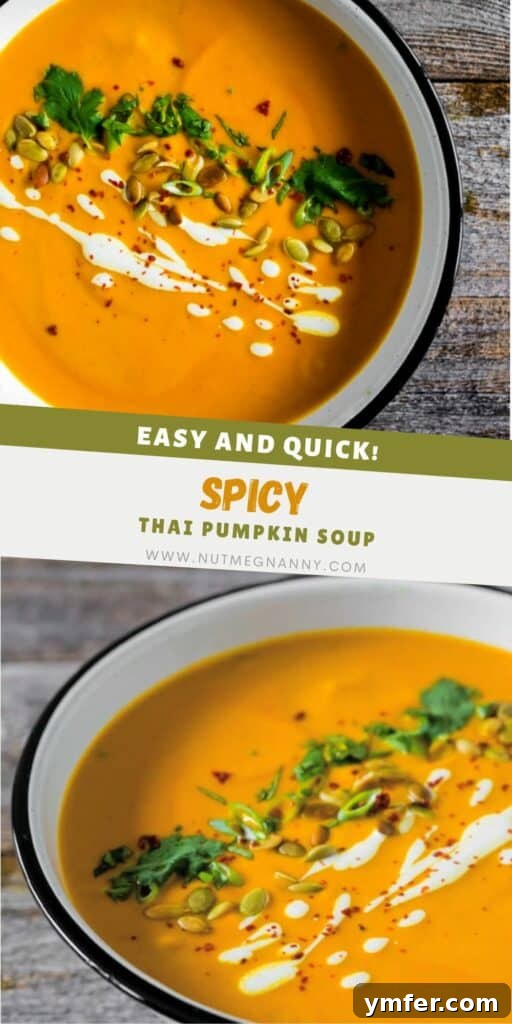Thai Pumpkin Spice Soup 7 Spicy Thai Pumpkin Soup pin for Pinterest. A vertical image of the soup bowl.