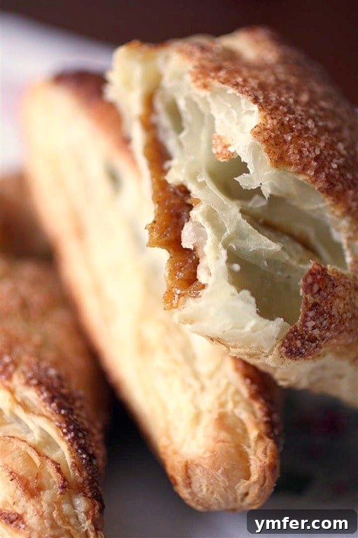 Close-up of a perfectly baked pumpkin butter turnover, showing its flaky crust and golden brown exterior, on a rustic background