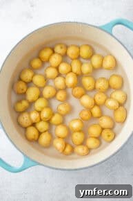 Baby potatoes added to a pot with water and kosher salt.