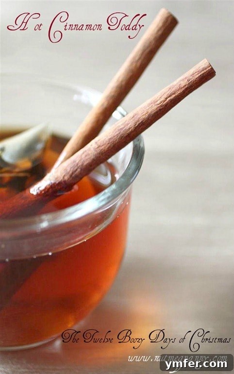 Hot Cinnamon Toddy: A comforting winter cocktail with bourbon and spicy tea. A warm mug of Hot Cinnamon Toddy garnished with a cinnamon stick, perfect for cold winter nights.