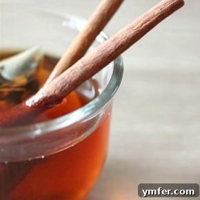 Cozy Cinnamon Elixir 2 img 3976 6