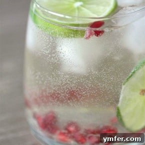Crimson Lime Wine Cooler 2 img 4061 4