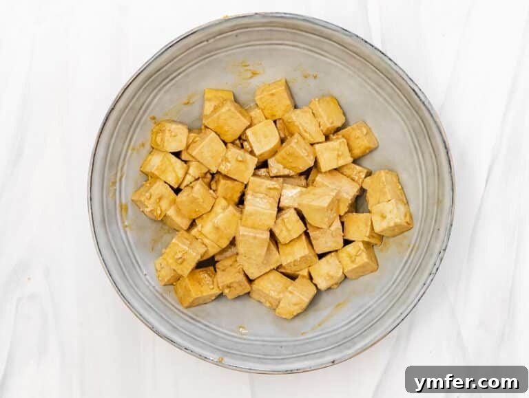 Zesty Orange Tofu 19 cubed tofu coated in olive oil, soy sauce, and corn starch