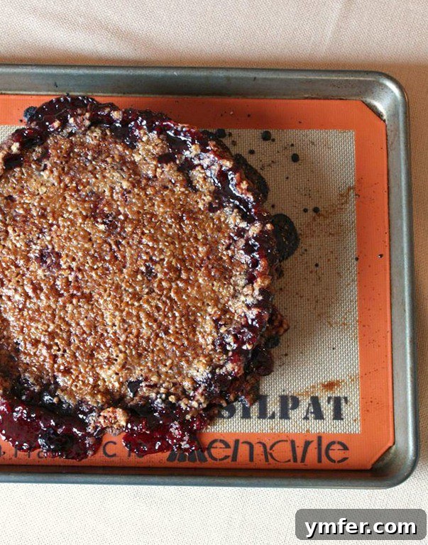 Decadent Chocolate Cherry Pie 4 Homemade Chocolate Cherry Pie Baking to Perfection