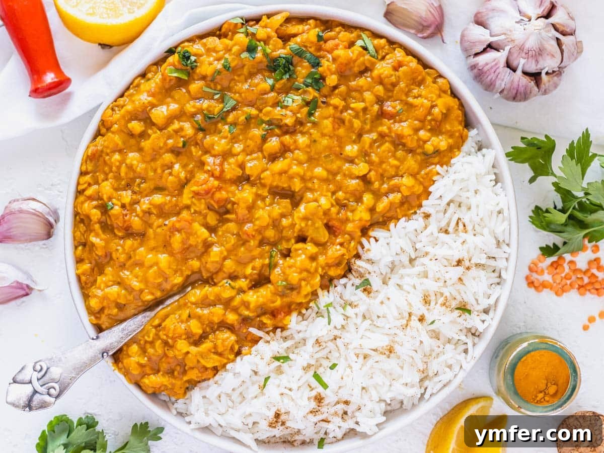 Feast on Plants: 35 Vibrant Recipes 34 Lentil curry served with fluffy rice and fresh cilantro garnish.