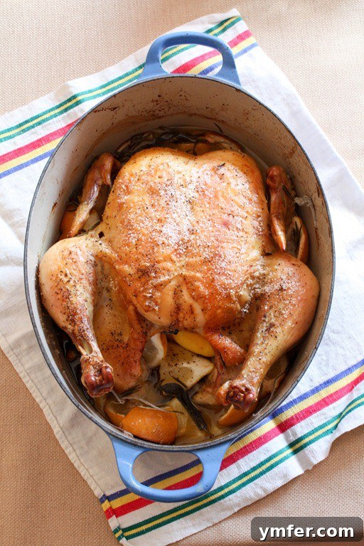 A perfectly roasted chicken, golden brown and glistening, nestled in a Dutch oven with fresh lemon and herbs. Golden-brown classic roast chicken in a Dutch oven, surrounded by lemons and herbs.