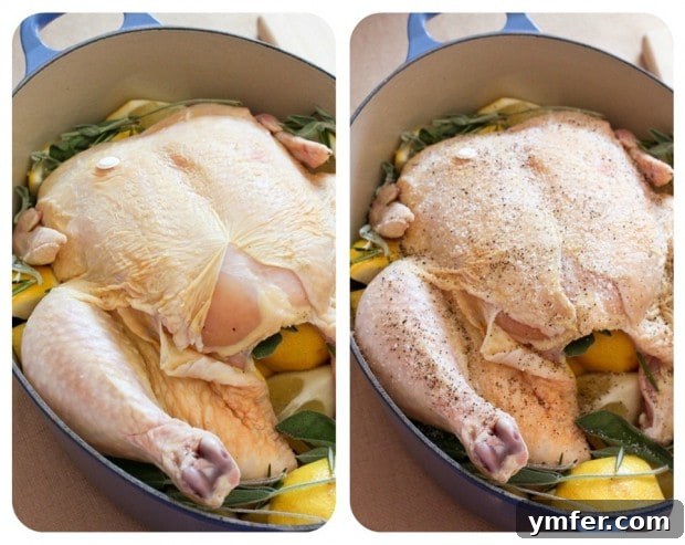 The process of seasoning a whole chicken with kosher salt, pepper, lemons, and herbs before roasting in a Dutch oven. Two whole chickens in a Dutch oven, one unseasoned and one fully seasoned with herbs and lemon.