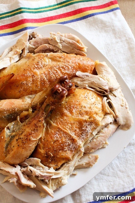 Slices of perfectly roasted chicken, moist and tender, arranged on a serving plate. Carved classic roast chicken arranged beautifully on a plate, ready to be served.