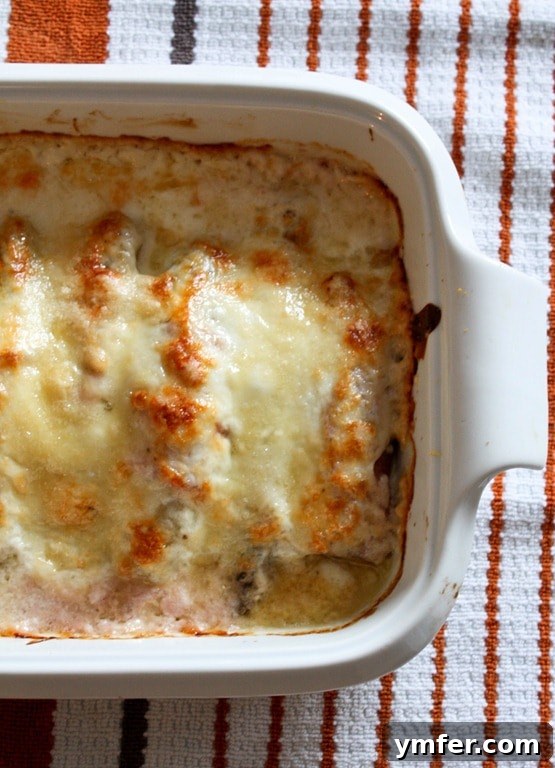 A serving of hot prosciutto wrapped endive gratin, showing the creamy béchamel and melted Comte.