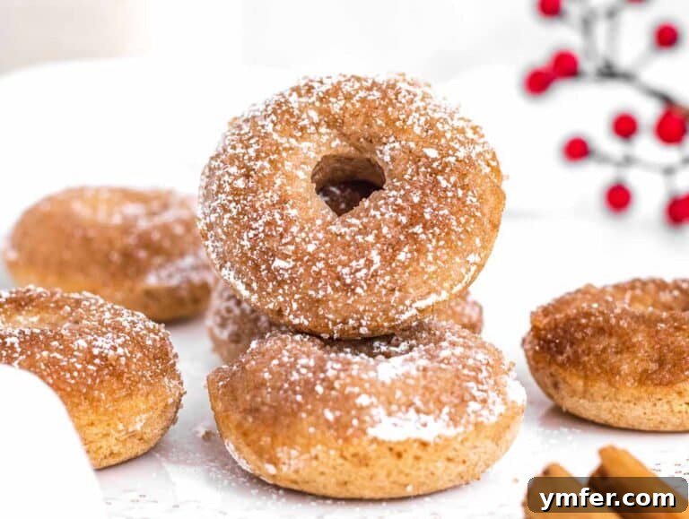 Plant Based Cake Perfection 12 Stacked cake donuts ready to be served