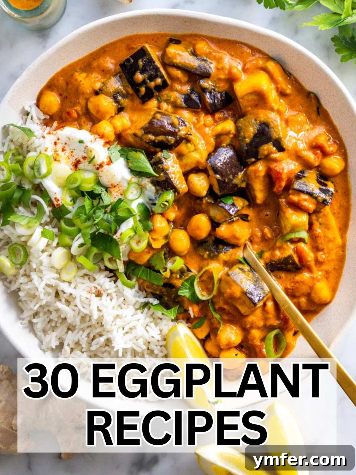 Eggplant Elevated 30 Exciting Recipes 2 Easy Eggplant Recipes - A vibrant platter of various eggplant dishes.