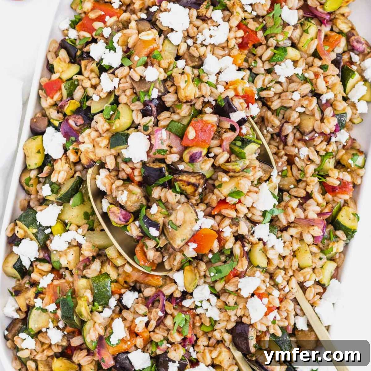 Eggplant Elevated 30 Exciting Recipes 14 Mediterranean farro salad recipe, featuring fresh ingredients and herbs.
