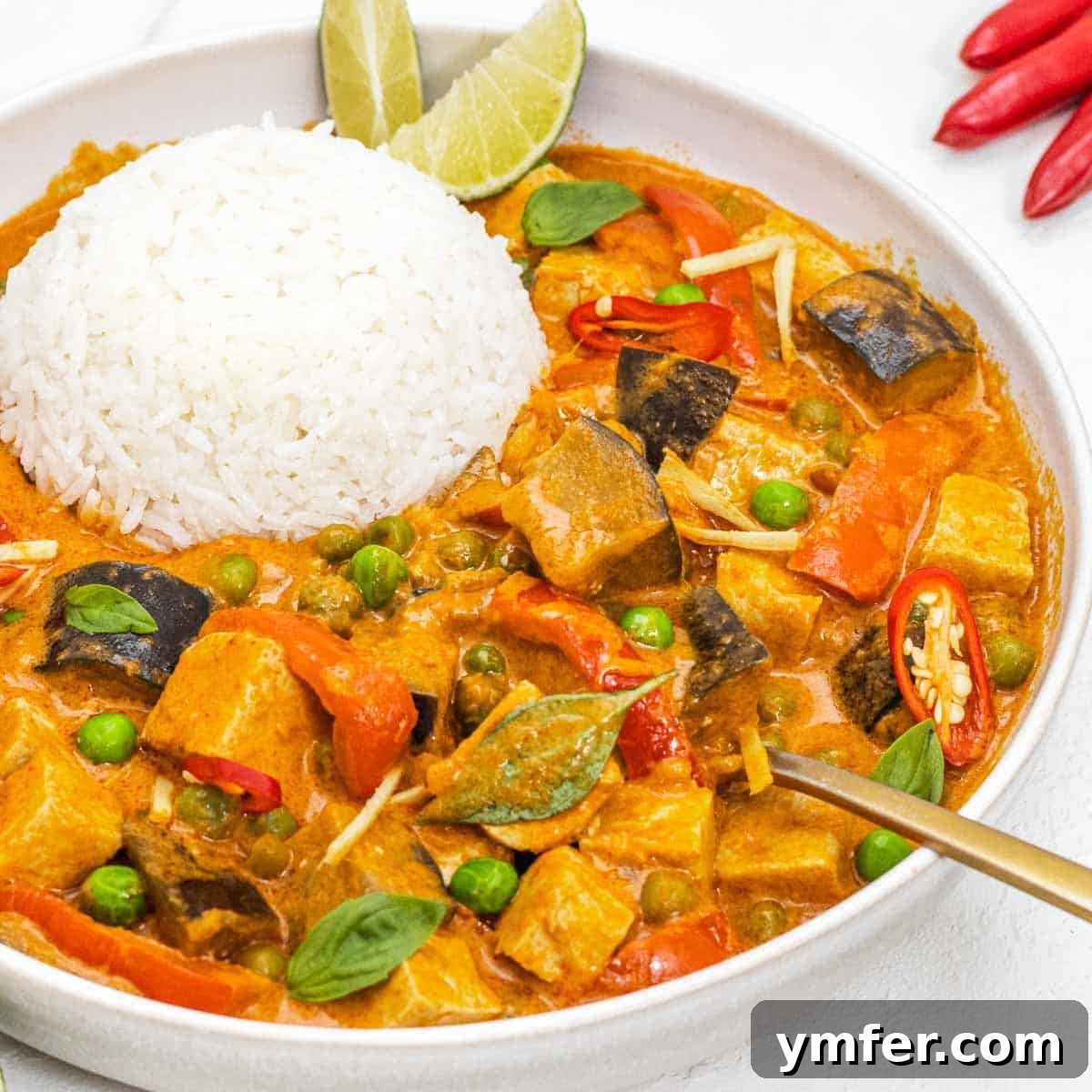 Eggplant Elevated 30 Exciting Recipes 18 Thai Red Curry served with rice and a spoon.
