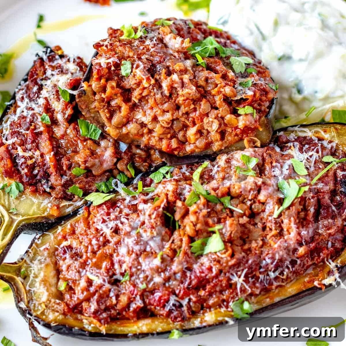 Eggplant Elevated 30 Exciting Recipes 4 Stuffed eggplant cut into half with parmesan cheese and parsley garnish.