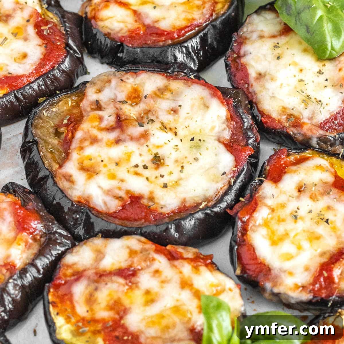 Eggplant Elevated 30 Exciting Recipes 6 A delicious eggplant pizza with melted cheese and fresh herbs.