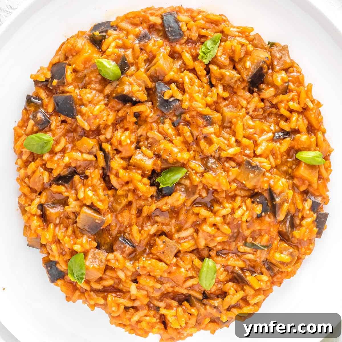 Eggplant Elevated 30 Exciting Recipes 10 A rich and creamy eggplant risotto.
