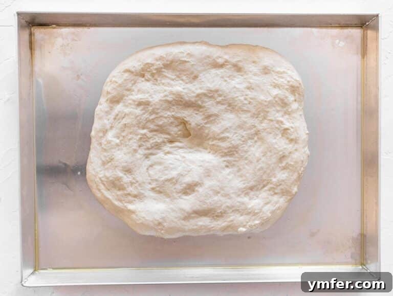 Rustic Zucchini Focaccia 20 dough in the centre of the tray