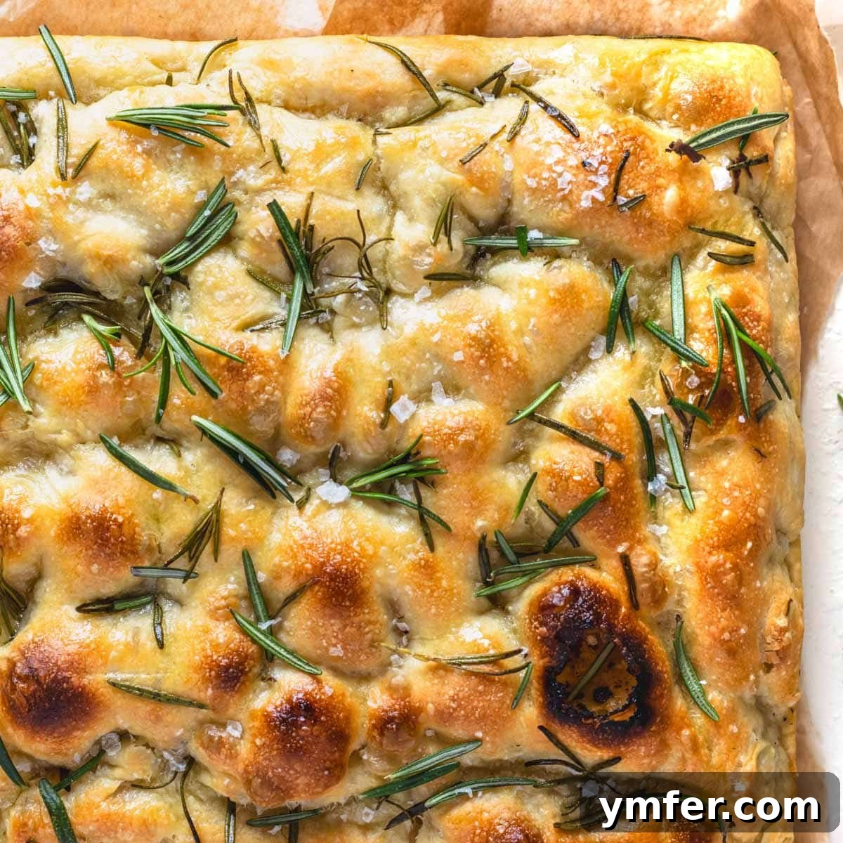 No-knead focaccia bread with herbs.