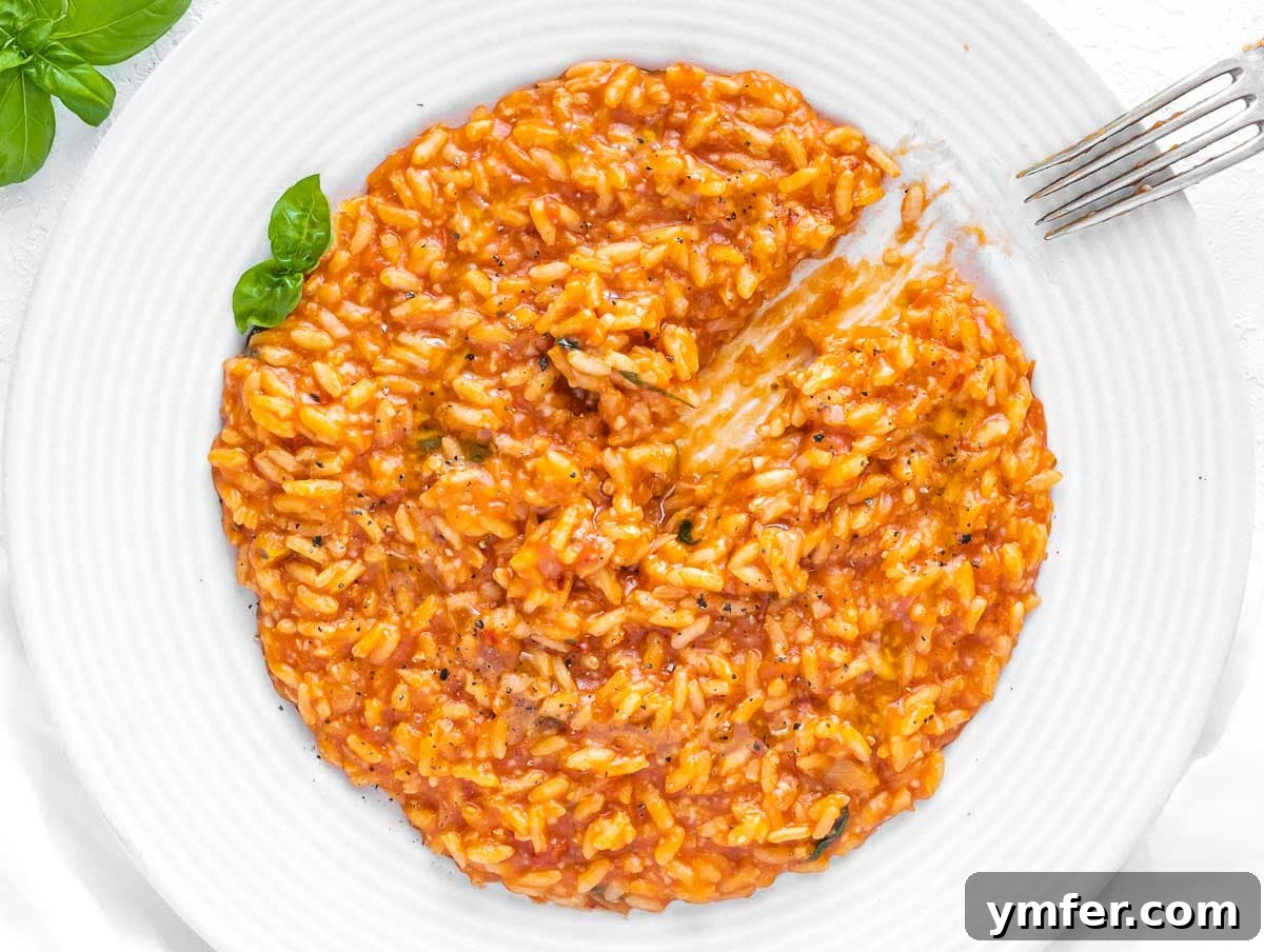 Velvet Aubergine Risotto 14 Creamy tomato risotto garnished with fresh basil.