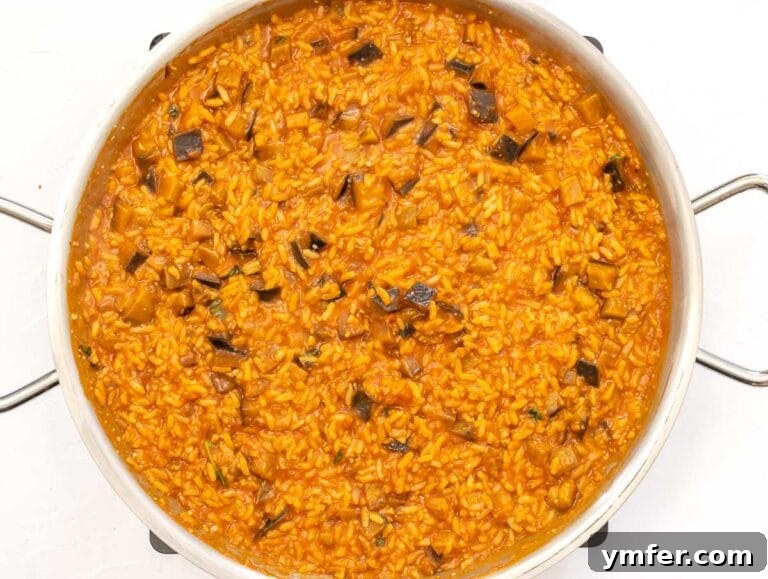 Velvet Aubergine Risotto 23 eggplant risotto in a pan