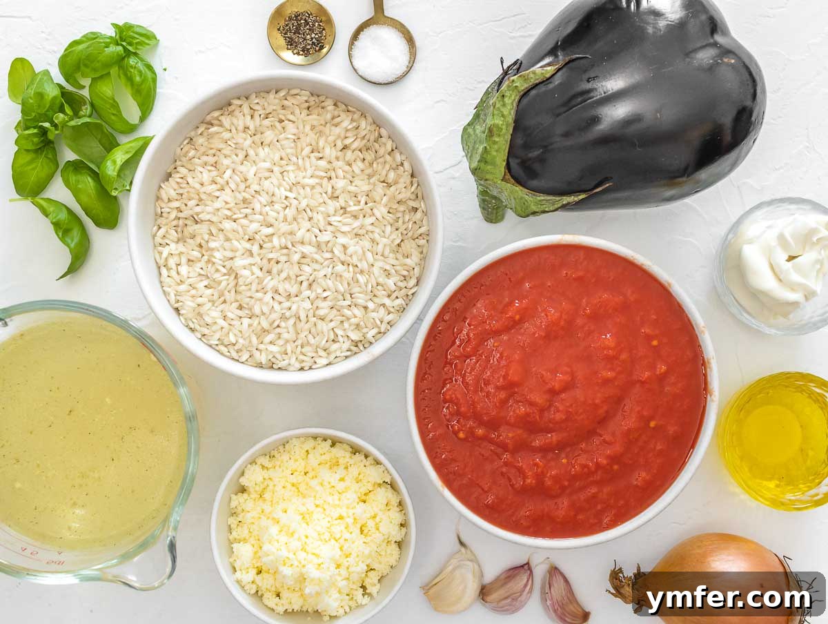 Velvet Aubergine Risotto 4 Array of fresh ingredients for eggplant risotto including risotto rice, tomato puree, eggplant, olive oil, onion, garlic, vegetable broth, salt, pepper, dried oregano, fresh basil, parmesan cheese, and butter.