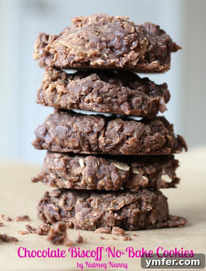 Delicious Chocolate Biscoff No-Bake Cookies arranged on a plate, ready to enjoy.