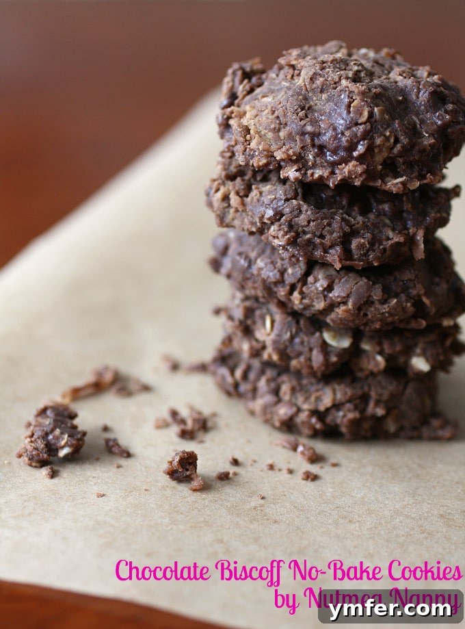 Close-up of freshly made Chocolate Biscoff No-Bake Cookies, showing their textured surface and rich color.