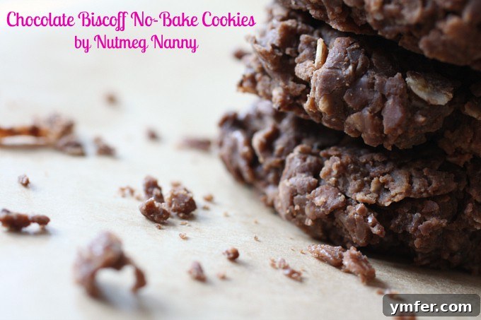 A close-up of a single Chocolate Biscoff No-Bake Cookie, showcasing its rich texture and topping.