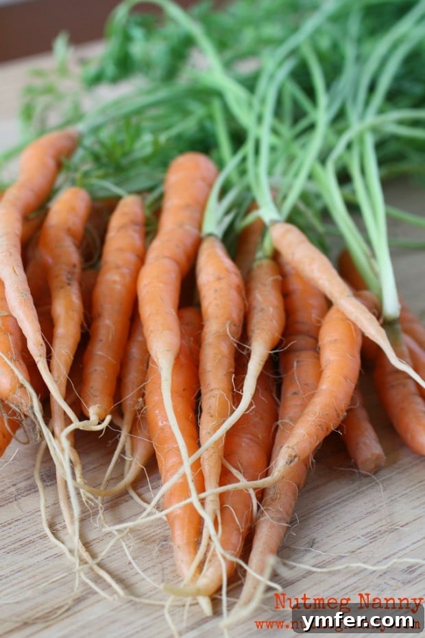 Exquisite Vanilla Maple Glazed Carrots 6 A vibrant platter of vanilla maple glazed carrots, perfectly cooked and glistening with the rich glaze, ready to be served as an impressive side dish.