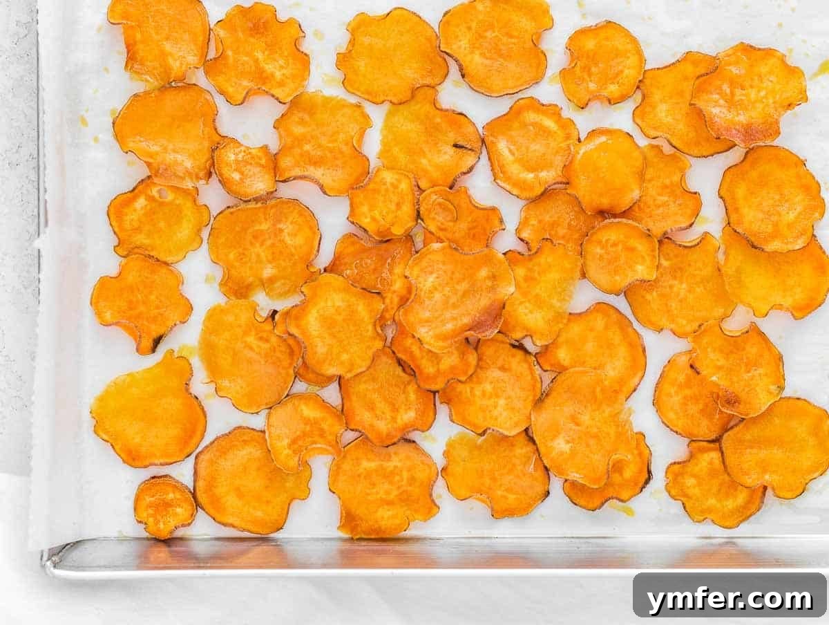 Artisan Sweet Potato Crisps 13 oven baked sweet potato chips