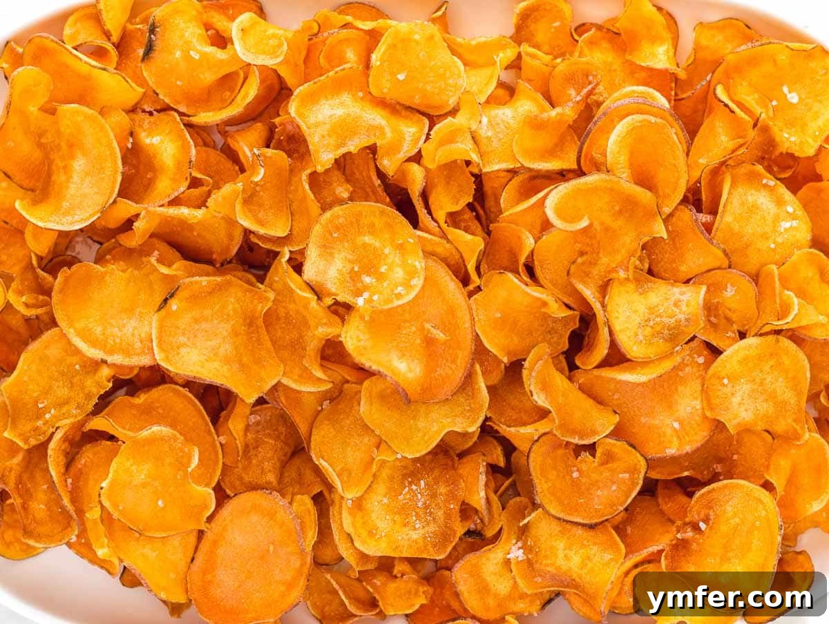 Artisan Sweet Potato Crisps 16 crispy deep fried sweet potato chips