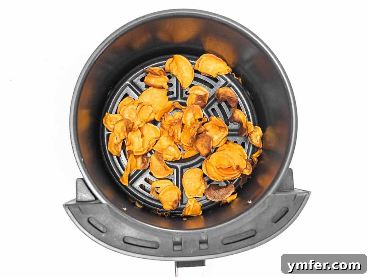 Artisan Sweet Potato Crisps 18 air fryer sweet potato chips