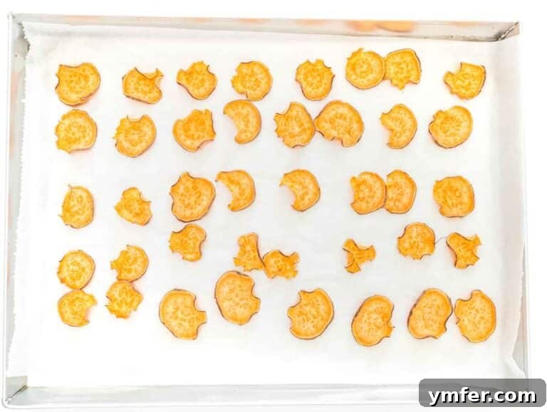 Artisan Sweet Potato Crisps 23 oil-free sweet potato chips