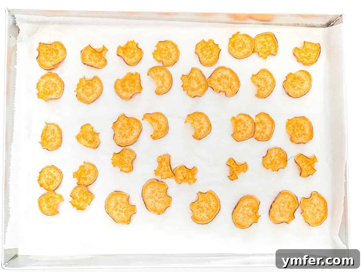 Artisan Sweet Potato Crisps 8 oil-free sweet potato chips