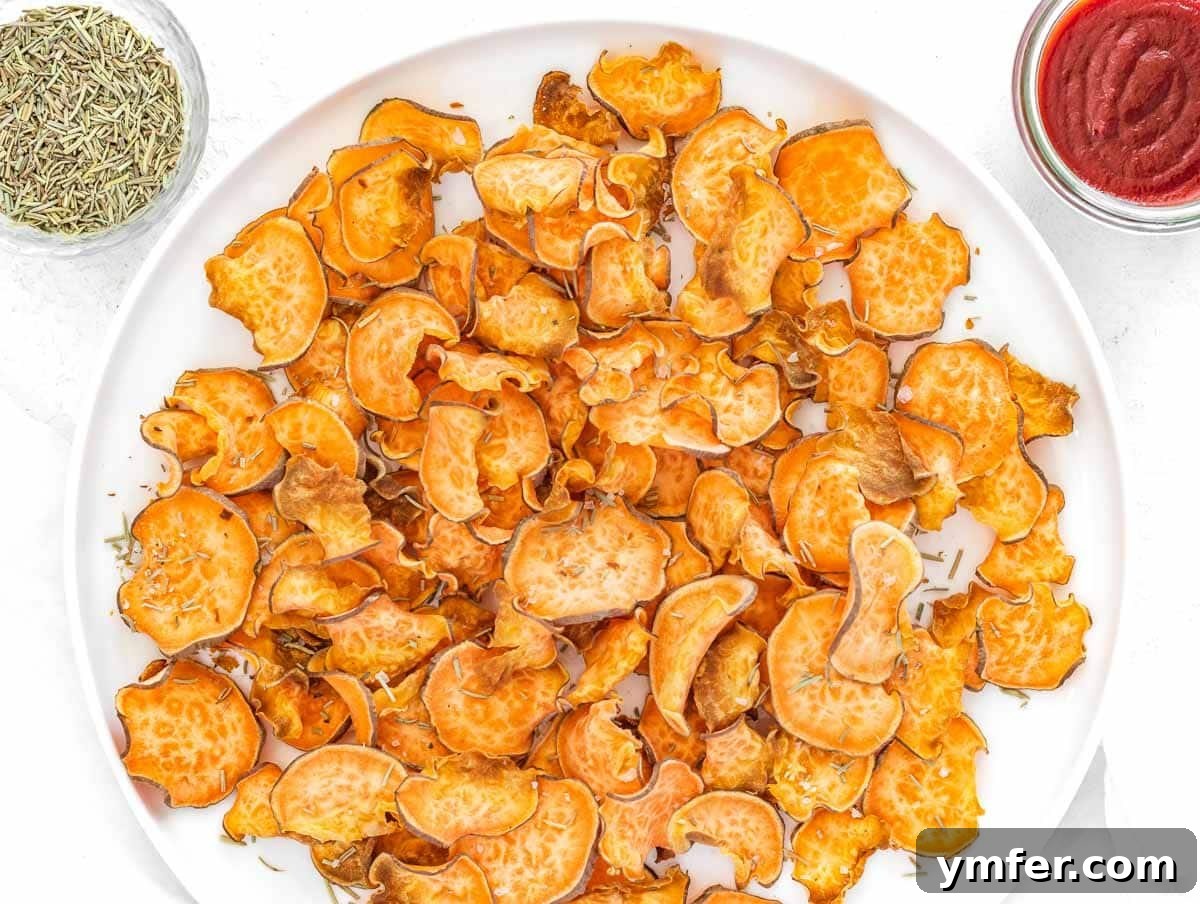 Artisan Sweet Potato Crisps 9 crispy oil-free sweet potato chips
