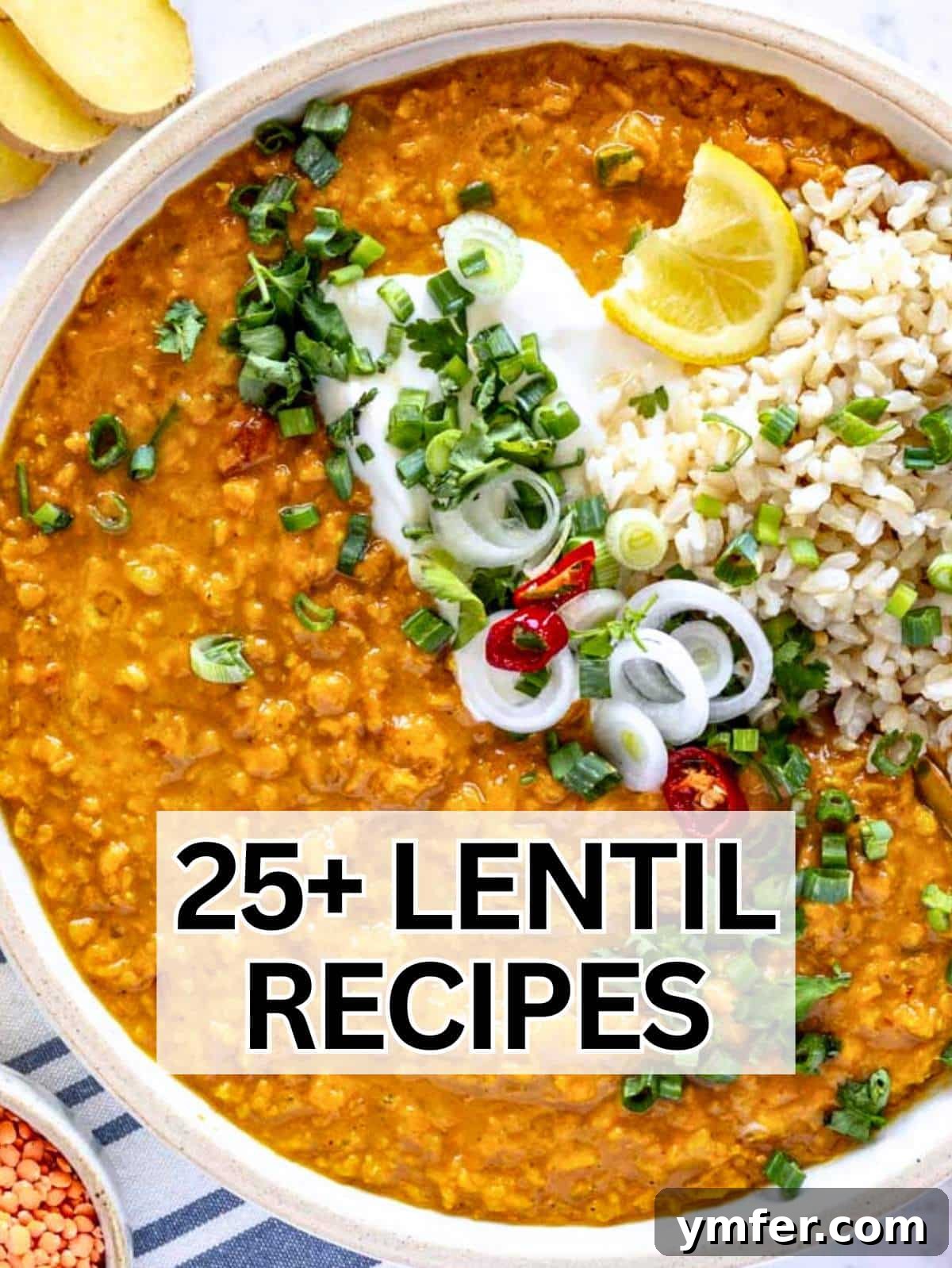 Hearty Lentil Harvest 30 Wholesome Recipes 2 Best Lentil Recipes: A colorful bowl of diverse lentil dishes, highlighting their versatility and appeal.