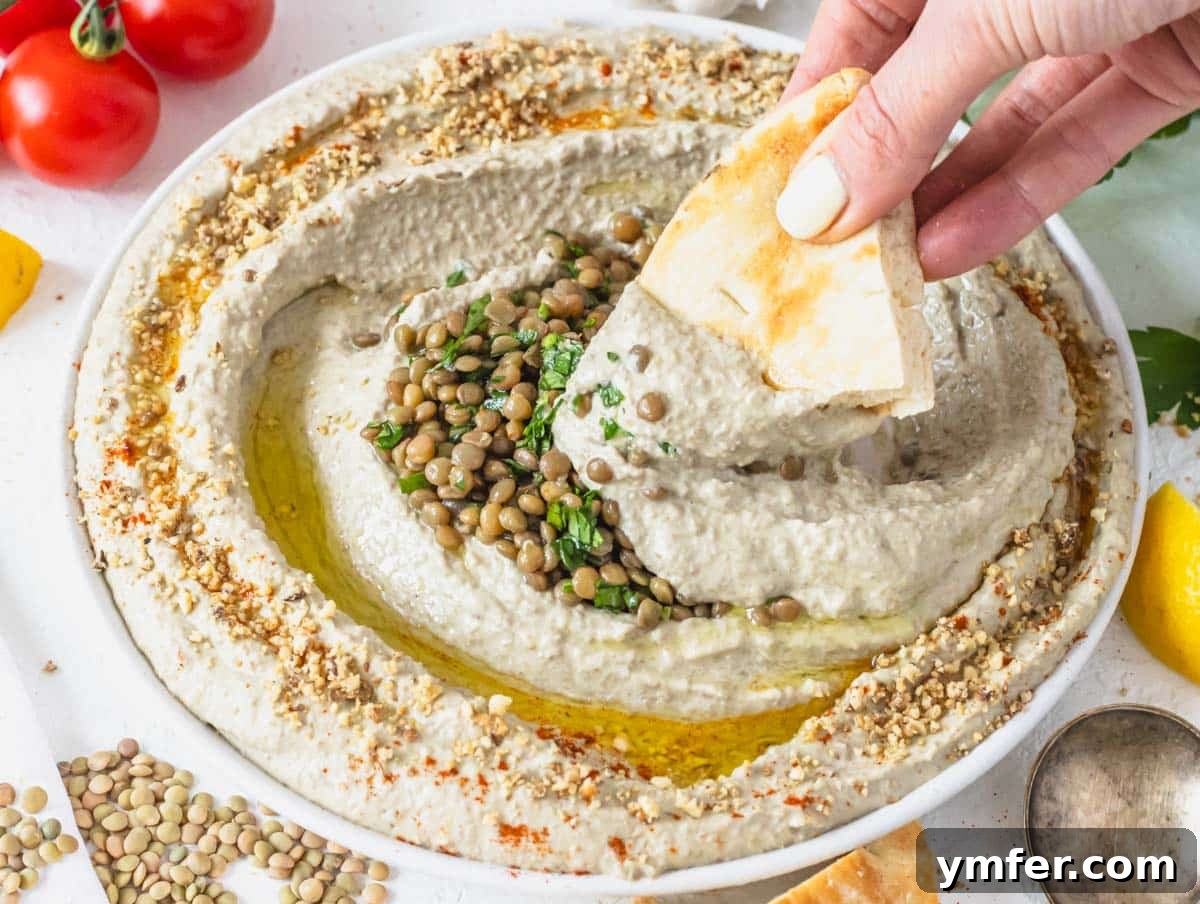 Hearty Lentil Harvest 30 Wholesome Recipes 11 Lentil hummus garnished with dukkah, served with a hand holding a piece of pita bread.