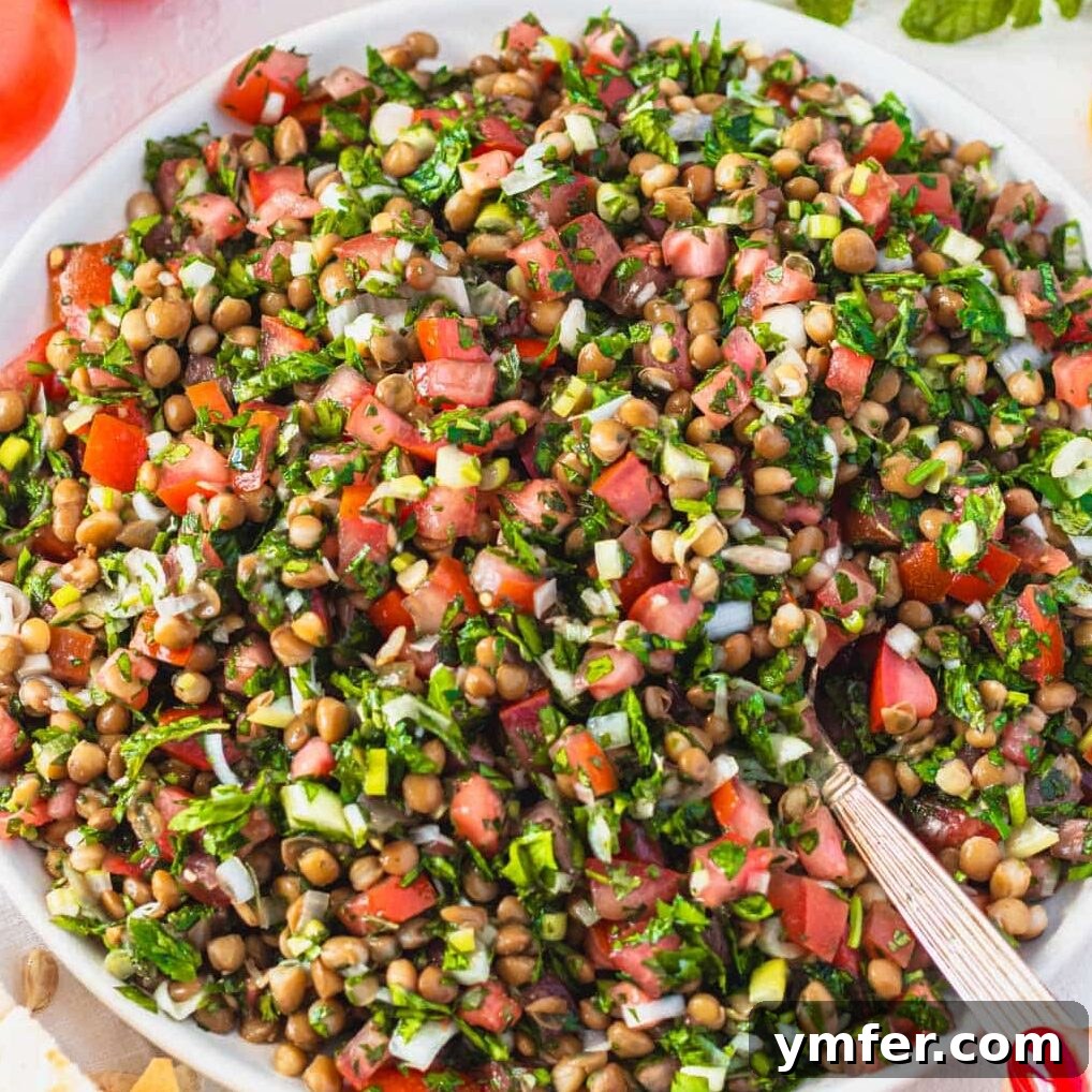 Hearty Lentil Harvest 30 Wholesome Recipes 5 Fresh lentil tabbouleh salad in a bowl with a silver spoon, hand reaching for pita bread.