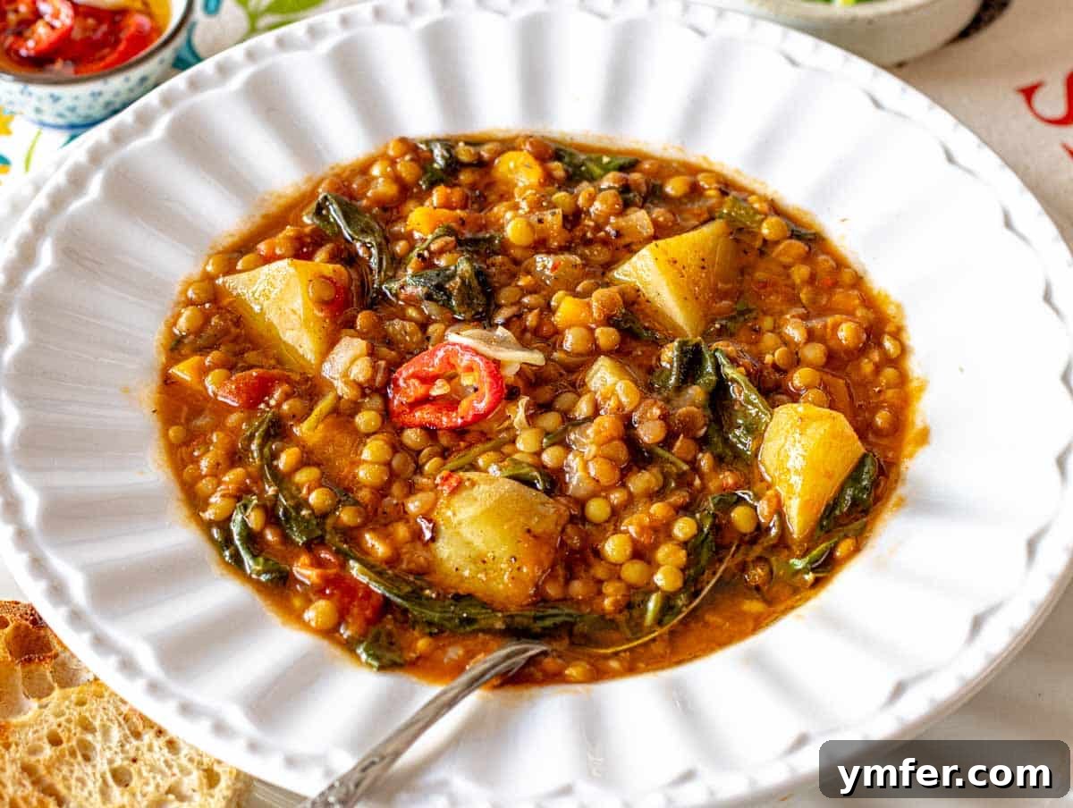 Hearty Lentil Harvest 30 Wholesome Recipes 10 Warm lentil soup served in a rustic white bowl, inviting and hearty.